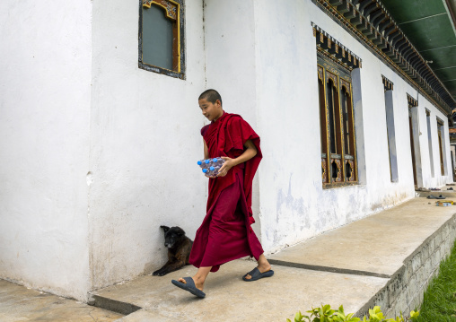 Bhutanese novice monk bringing plastic bottles in Nyenzer Lhakhang, Thedtsho Gewog, Wangdue Phodrang, Bhutan