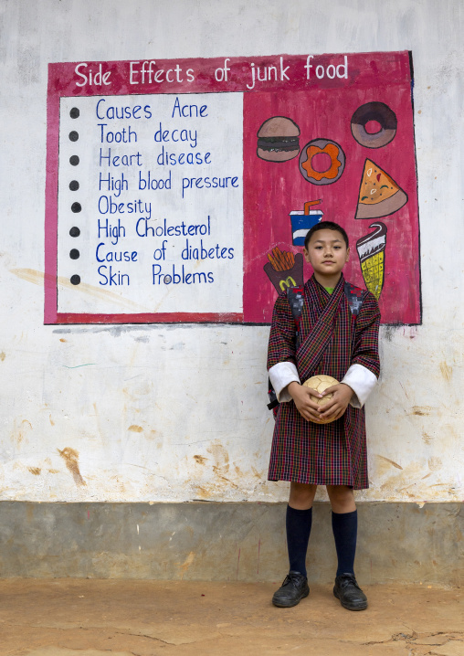 Portrait of a boy in front of a junk food mural in Rubesa Primary School, Wangdue Phodrang, Rubesagewog, Bhutan