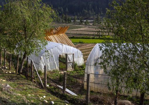 Greenhouse in a farm, Chhoekhor Gewog, Bumthang, Bhutan