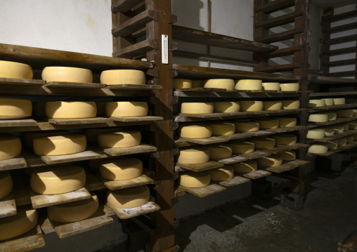 Swiss cheese factory, Chhoekhor Gewog, Bumthang, Bhutan