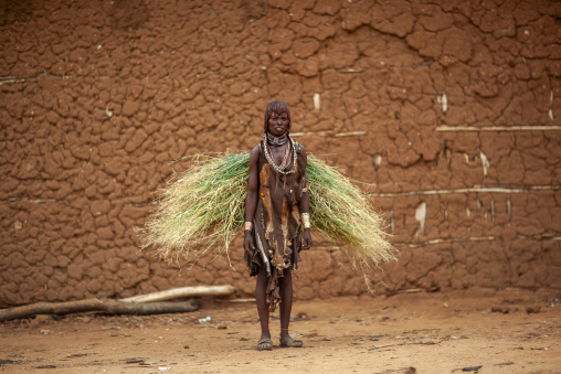 Hamer woman with load of straw on her back, Omo valley, Turmi, Ethiopia