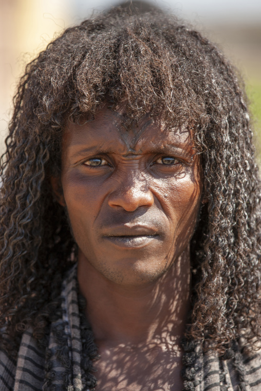 Afar tribe man with traditional hairstyle, Assaita, Afar regional state, Ethiopia