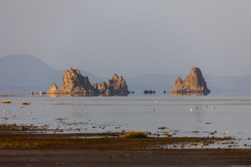 Volcanic limestone spires rise from the salt lake as wading birds forage along the shore, Afar depression, Lake Abbe, Djibouti