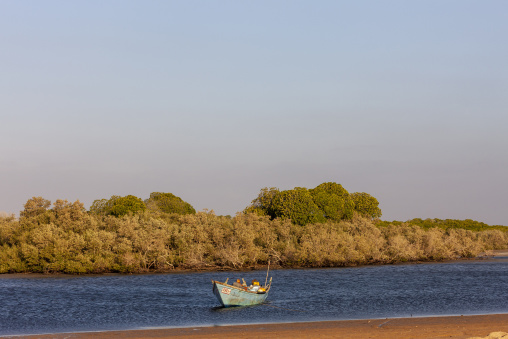 A wooden boat anchors near a mangrove shoreline, Obock Region, Gorodia, Djibouti
