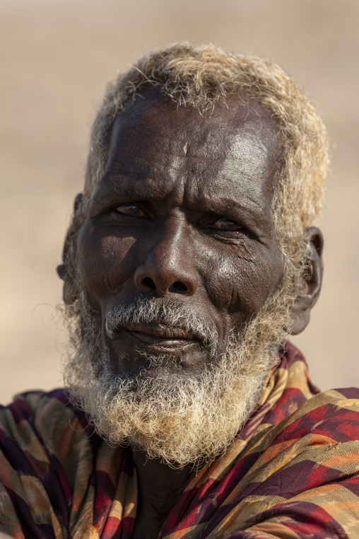 An elderly afar man with a pale beard wears a colorful wrap, Obock Region, Khor angar, Djibouti