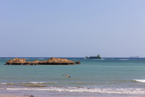 A seagull flies over the sea as a work boat passes rocky outcrops, Obock Region, Obock, Djibouti