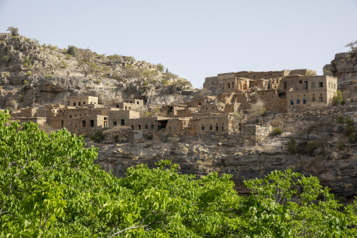 Abandoned stone village clinging to a rocky cliffside above green trees, Jebel Akhdar, Sayq, Oman