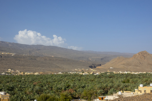 Panoramic view over a palm oasis and small village toward mountains under a large cumulus cloud in a wide desert valley, Ad Dakhiliyah Region, Misfat al Abriyyin, Oman