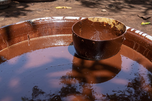 A metal bowl floats in a basin of shea butter paste at a karite processing site, Savanes district, Tcheregnimin, Ivory Coast