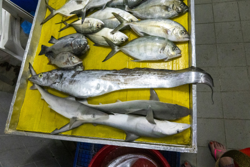 Fresh trevally snapper and small sharks laid out on a yellow table at a fish market beside a red bucket with a woman's sandaled foot visible in the corner, Governorate of Muscat, Muscat, Oman