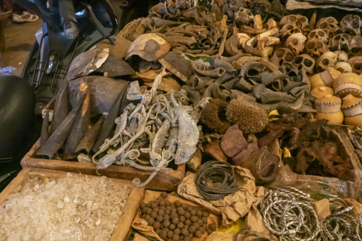 Tortoise shells dried reptiles and salt are displayed at a fetish market stall, Poro region, Korhogo, Ivory Coast