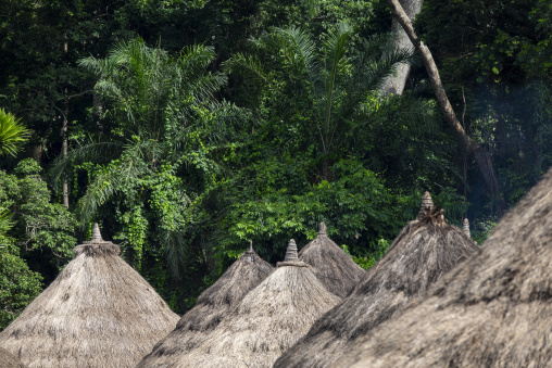 Thatched conical huts topped with sculpted finials cluster amid a lush forest village, Bafing, Gboni, Ivory Coast