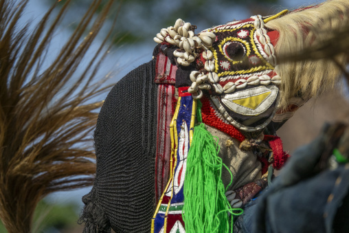 A Dan tribe dancer performs the Kwuya Gblen-Gbe tall mask dance adorned with cowrie shells and a blond fur mane, Bafing, Gboni, Ivory Coast