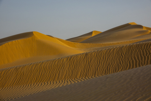 Golden sand dunes with rippled patterns under a clear sky, Dhofar Governorate, Rub al Khali, Oman