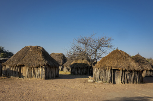 Traditional thatched huts of a Mwila village beneath a bare tree, Huila Province, Chibia, Angola