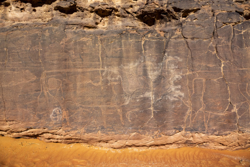 Rock carvings depicting cows, Tassili N'Ajjer National Park, Tadrart Rouge, Algeria