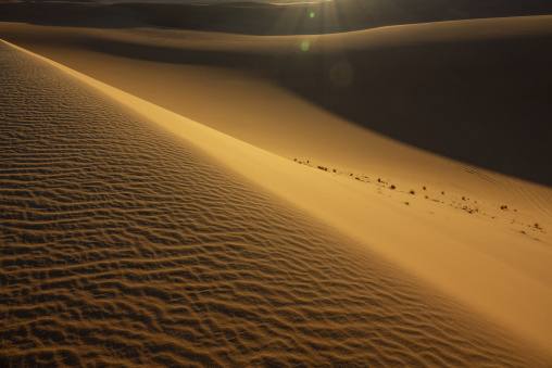 Wind-rippled sand dune at sunrise, North Africa, Erg Admer, Algeria