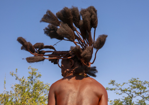 Rear view of a Himba woman with an elaborate fan-shaped hairstyle made of twisted strands, Cunene Province, Oncocua, Angola