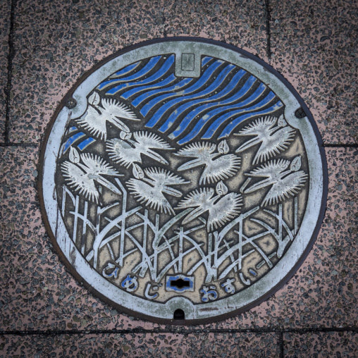 Decorative manhole cover featuring a flower and wave pattern on
