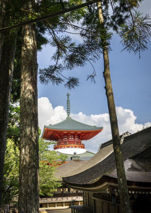 Konpon Daito in Danjo Garan