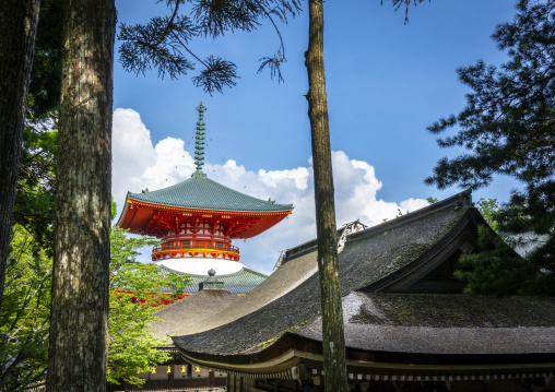 Konpon Daito in Danjo Garan
