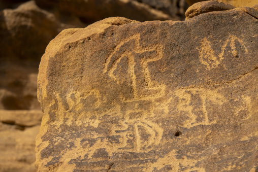 Close-up of an ibex petroglyph carved on a sandstone rock, Al Ma