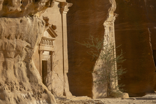 Rosette carvings on a Nabataean tomb pediment at Hegra, Al Madin