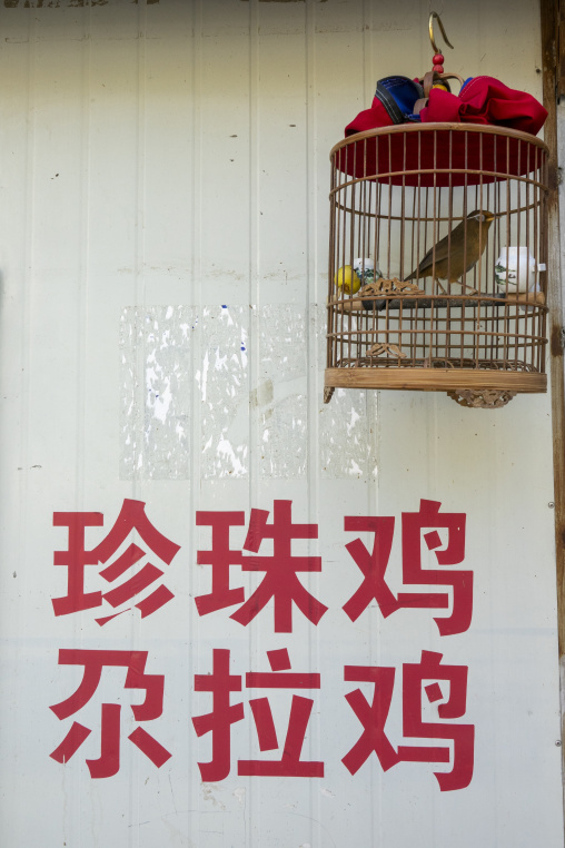 A caged songbird hangs outside a shop with red cloth draped over its cage, Qinghai Province, Xunhua, China
