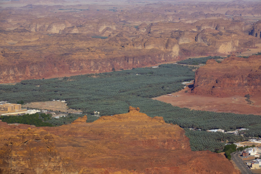 Oasis in the middle of the wadi al-Qura, Al Madinah Province, Alula, Saudi Arabia