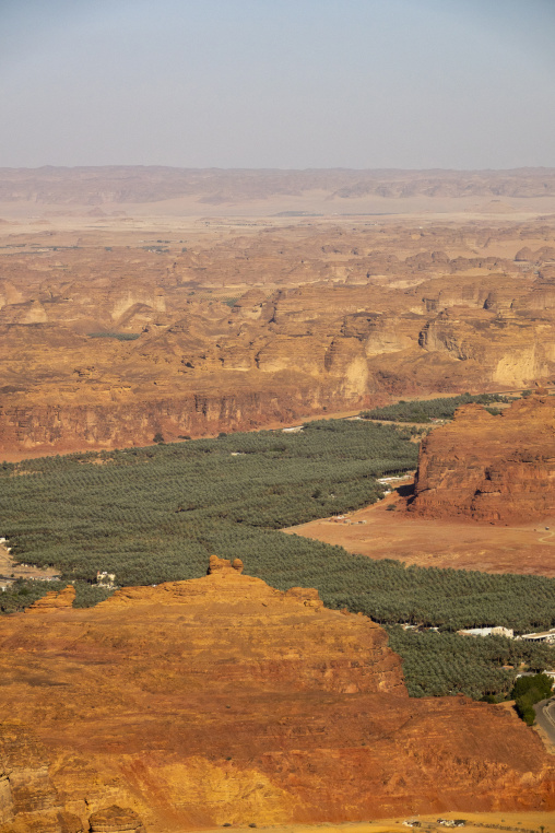 Oasis in the middle of the wadi al-Qura, Al Madinah Province, Alula, Saudi Arabia