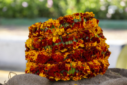 Close-up of a floral crown made of marigold flowers, Asir provin