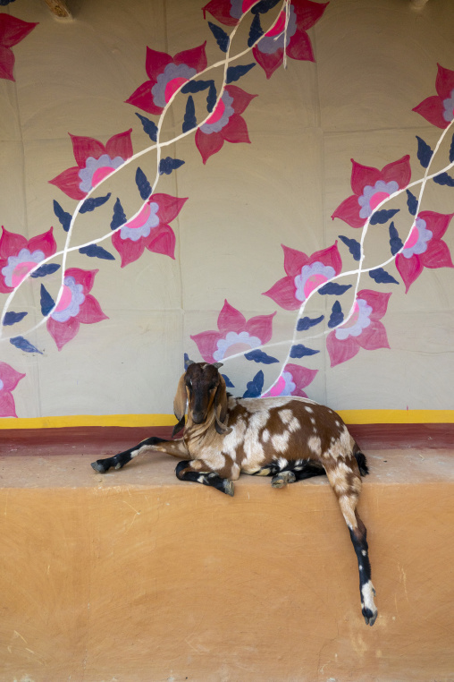 Traditional colorful wall painting in a bangladeshi house