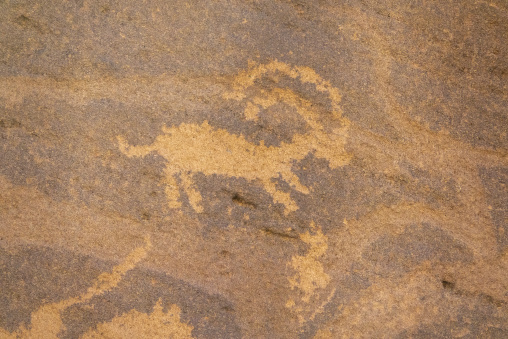 Petroglyphs on a rock depicting ibex, Najran Province, Thar, Saudi Arabia