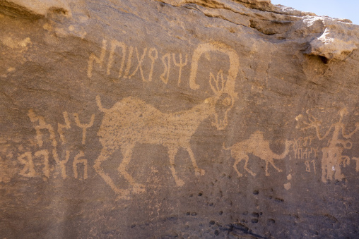 Petroglyphs on a rock depicting ibex, Najran Province, Thar, Saudi Arabia