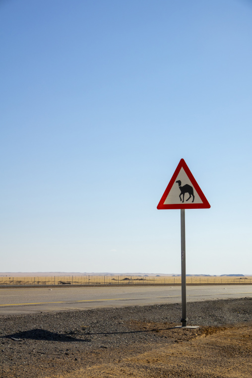 Camel crossing road sign in the desert, Najran Province, Hubuna,