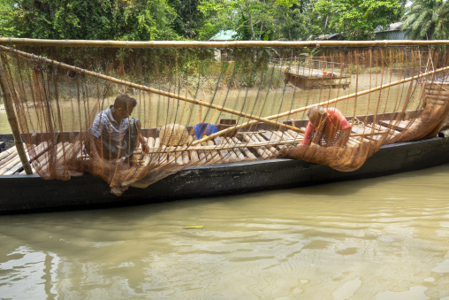 Otters to fish in the Sundarbans, Khulna Division, Narail, Bangladesh