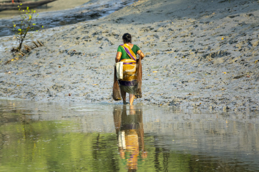 Bangladeshi woman fishing shrimps in the river, Khulna Division, Mongla, Bangladesh