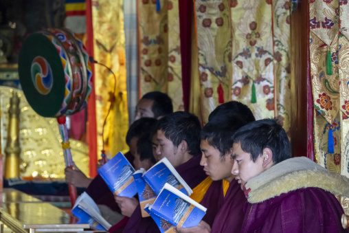 Tibetan monks of the Gelug or Yellow Hat sect chant from prayer books inside Bongya monastery's assembly hall, Qinghai Province, Mosele, China