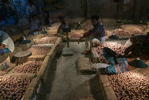 Workers sitting among piles of potatoes in a wholesale storage w
