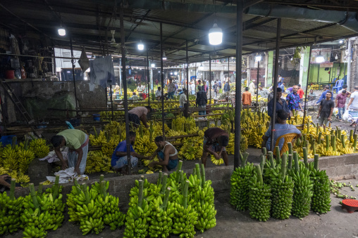 Workers sorting bananas at a wholesale market, Dhaka Division, D