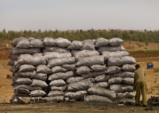 Coal bags along the road, Debub, Mendefera, Eritrea