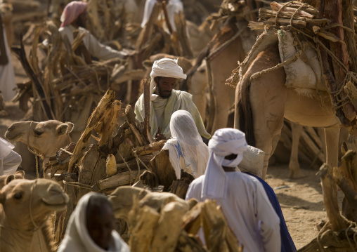 Monday wood and camel market, Anseba, Keren, Eritrea