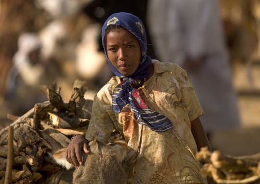 Eritrean girl in monday wood and camel market, Anseba, Keren, Eritrea