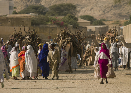 Monday wood and camel market, Anseba, Keren, Eritrea