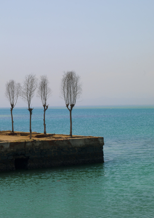 Dead trees on the port, Northern Red Sea, Massawa, Eritrea
