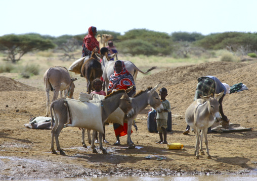 Afar tribe women taking water from a well with donkeys, Northern Red Sea, Thio, Eritrea