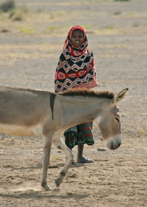 Afar tribe woman with a donkey, Northern Red Sea, Thio, Eritrea