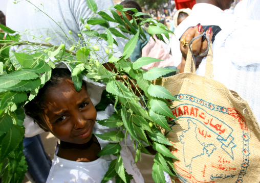Eritrean girl carrying leaves, Anseba, Keren, Eritrea
