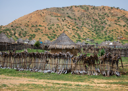 Village with a fence made of palm branches, Gash-Barka, Agordat, Eritrea