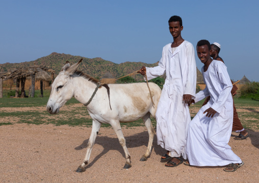 Eritrean men with donkey in the livestock market, Gash-Barka, Agordat, Eritrea